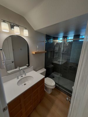 Bathroom with wood vanity, large mirror, walk-in shower with dark tile.