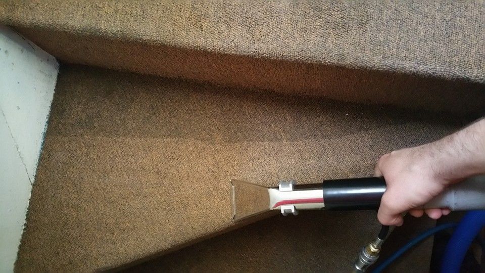 Professional carpet cleaning in a Maidstone home