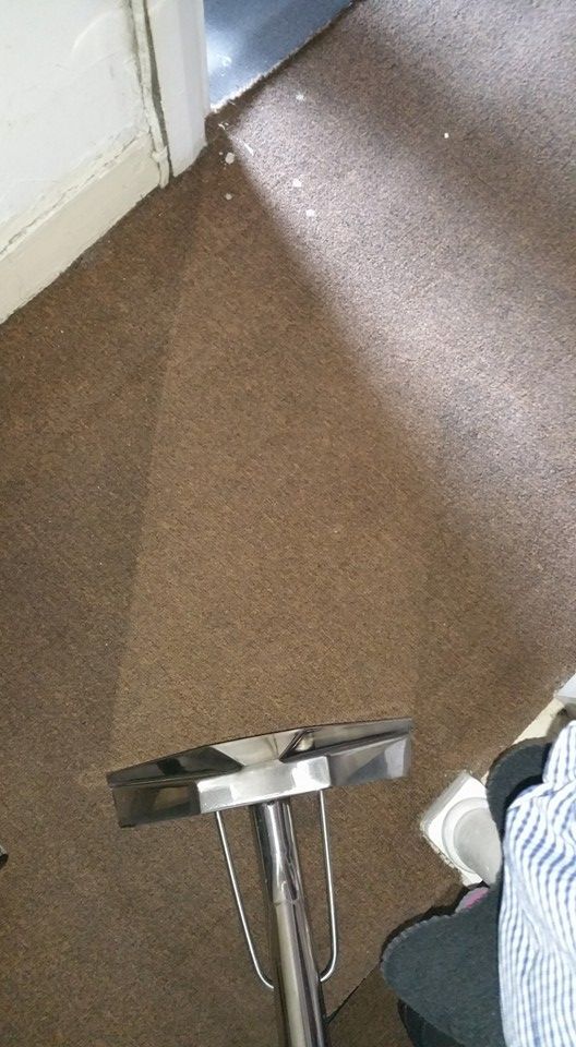 Professional carpet cleaning in a Maidstone home