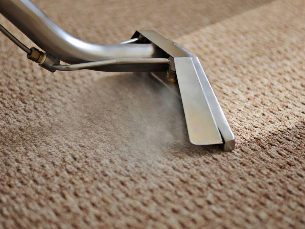 Professional carpet cleaning in a Maidstone home