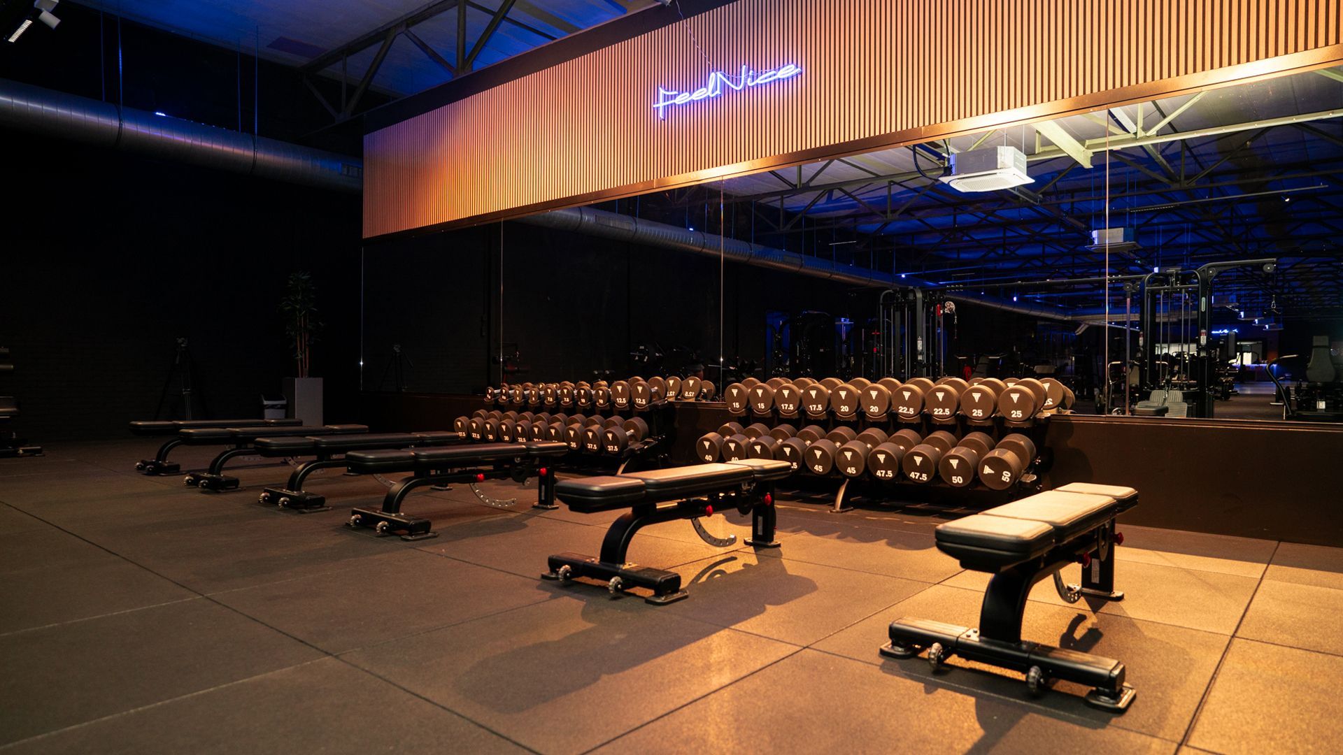 Vrouw doet geconcentreerd een barbell squat in de sportschool. Zwart-wit.