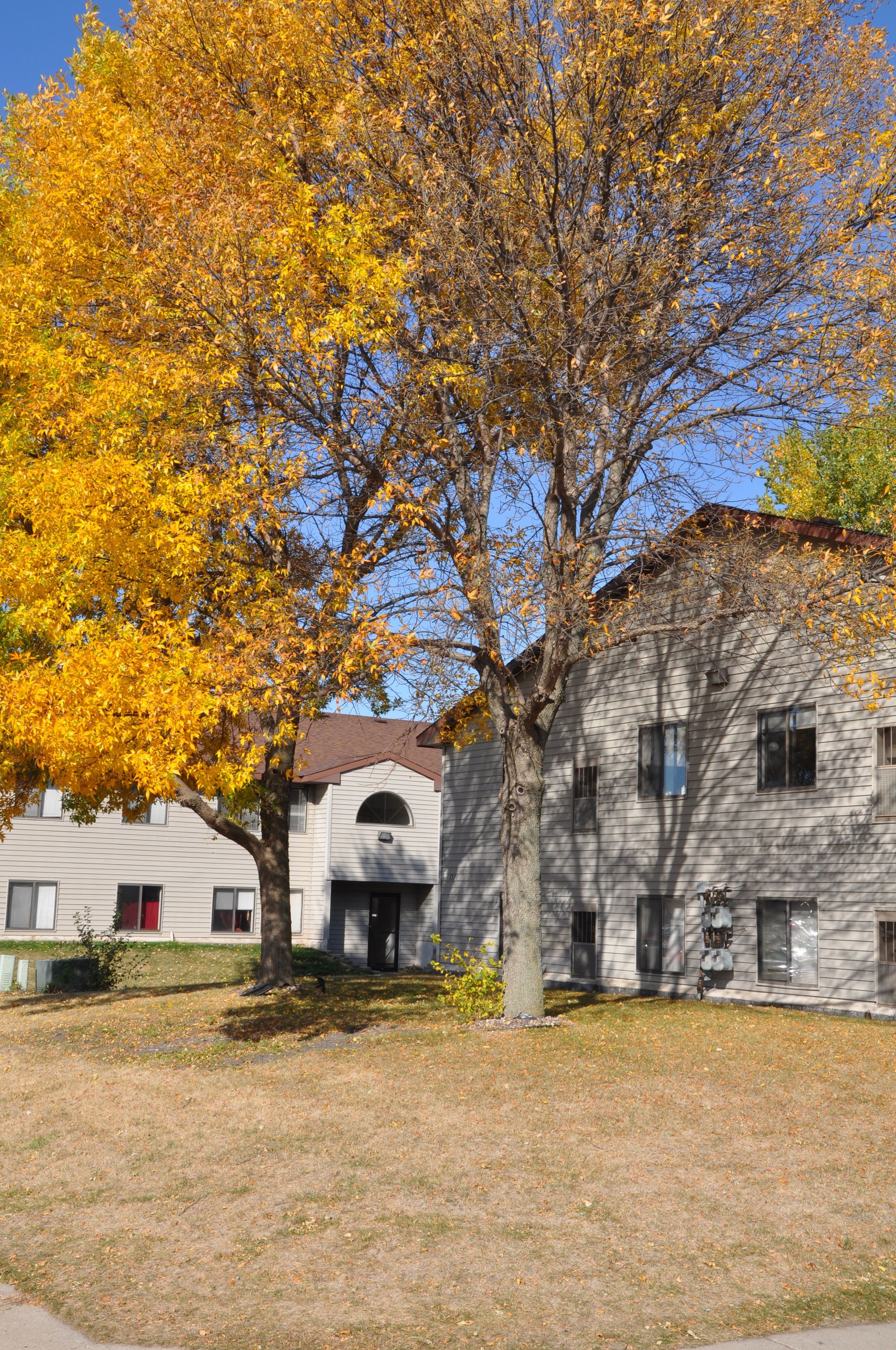 Atwood Management Premier Property Management in Minnesota