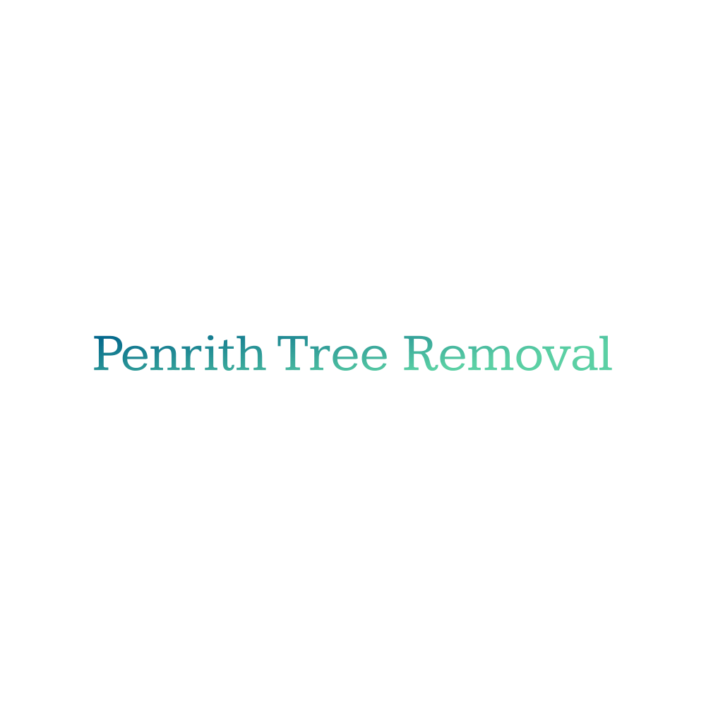 Tree Removal Penrith Tree Loppers Tree Services