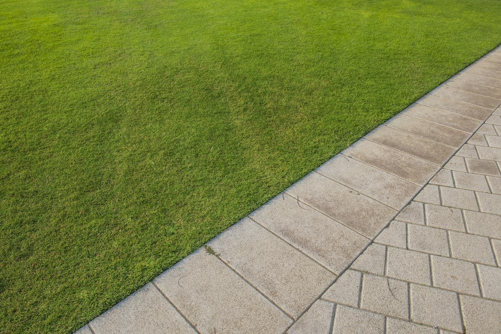 A Lawn And A Sidewalk Are Next To Each Other In A Park — Joe's Turf In Spring Creek, QLD