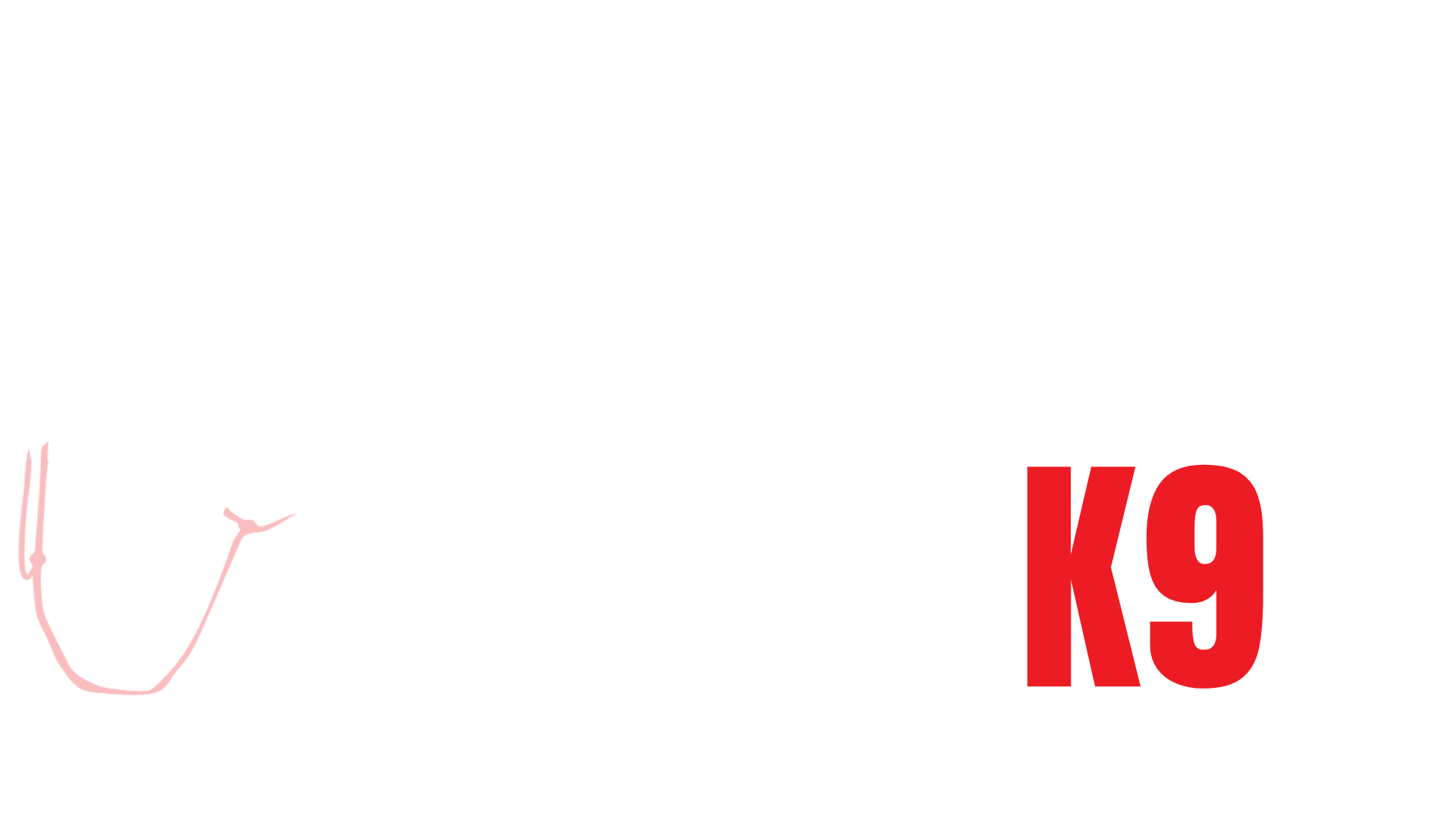 Central Valley K9 logo