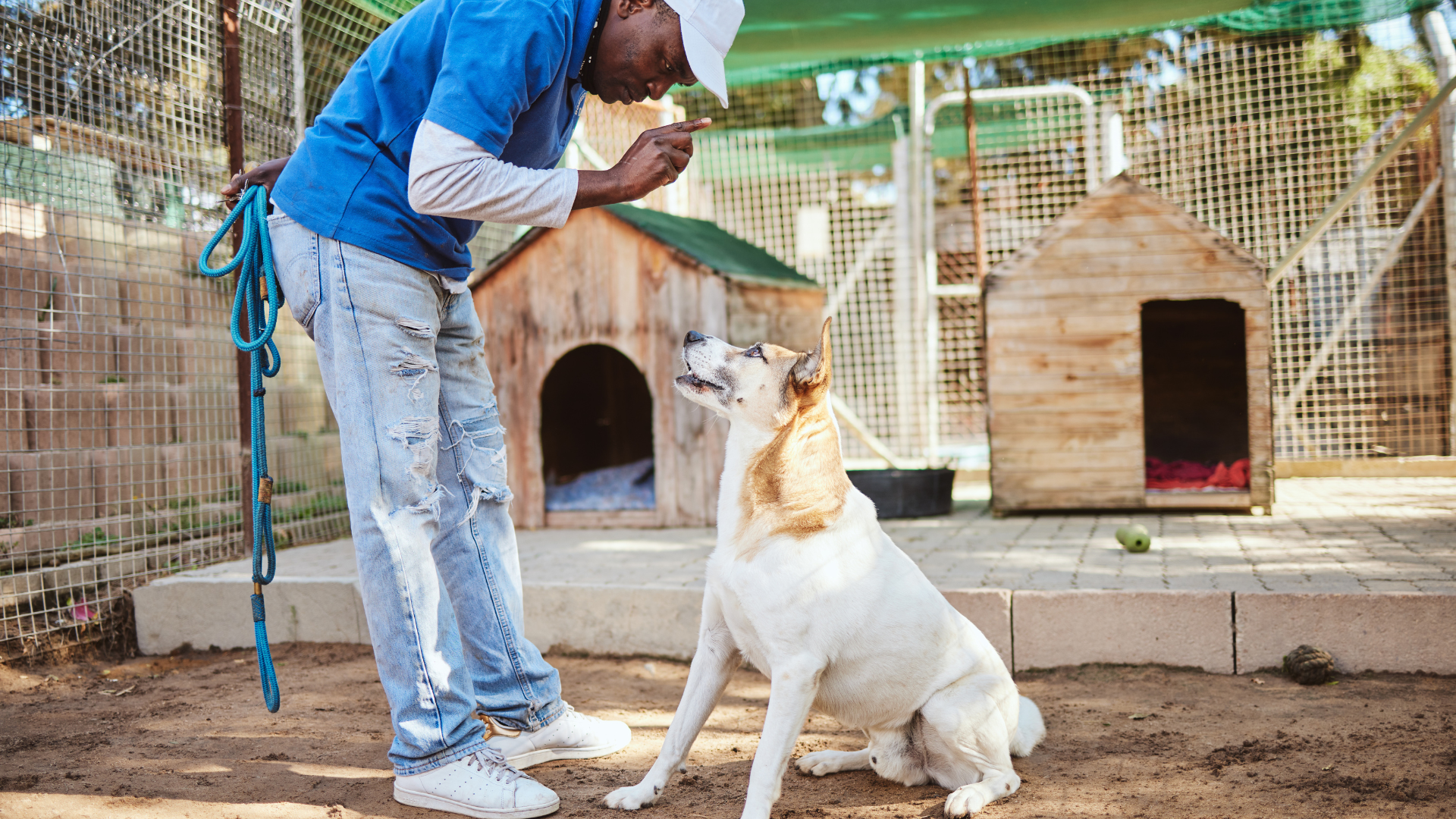 behavior problems and aggression control training