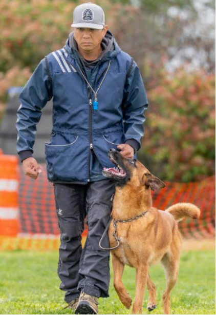 Bay Area Dog obedience training
