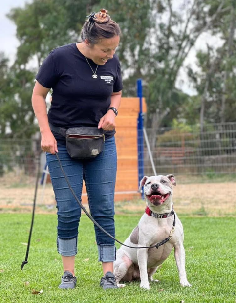 Bay Area boarding and training