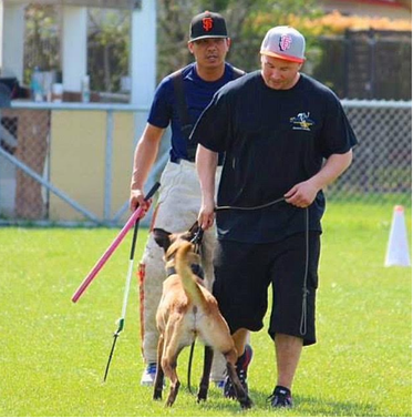 Bay Area’s Best dog training