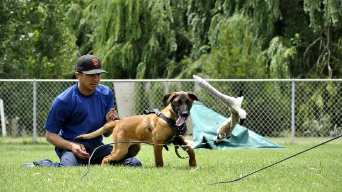 a man is kneeling down next to a dog on a leash .