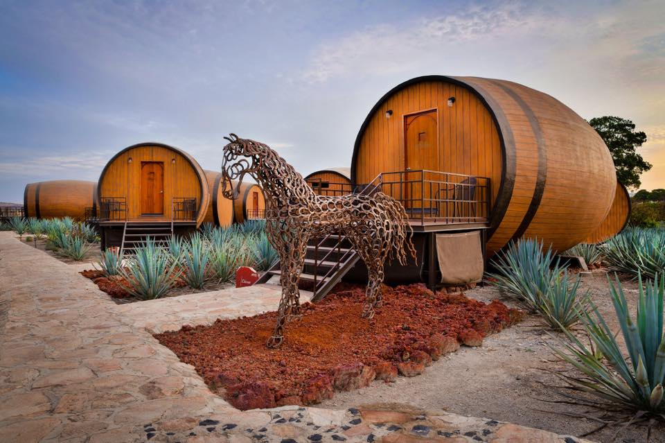 Pagina oficial de la Ruta del Tequila Jalisco Mexico