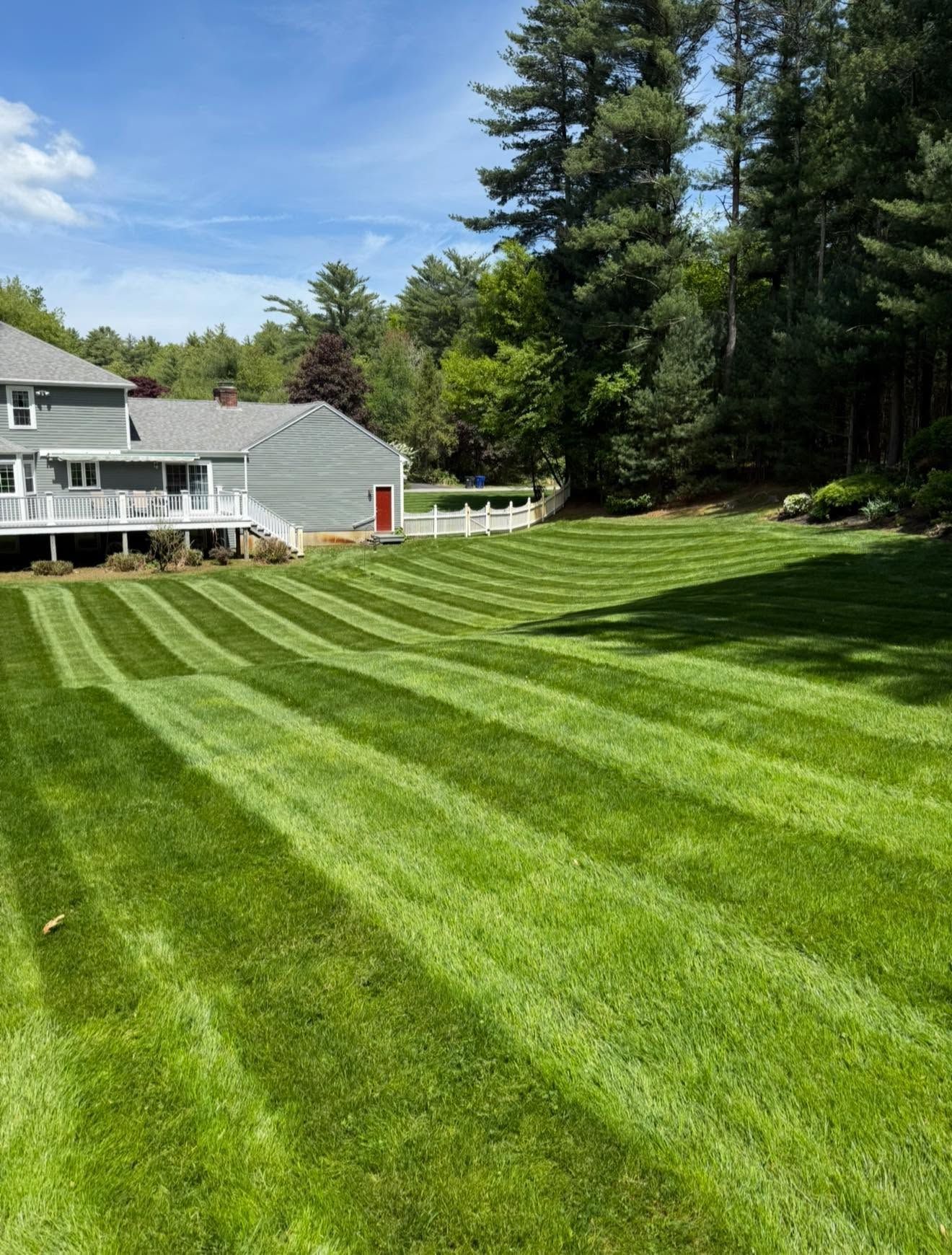Striped green lawn beside a gray house and white deck, bordered by tall trees under a blue sky.