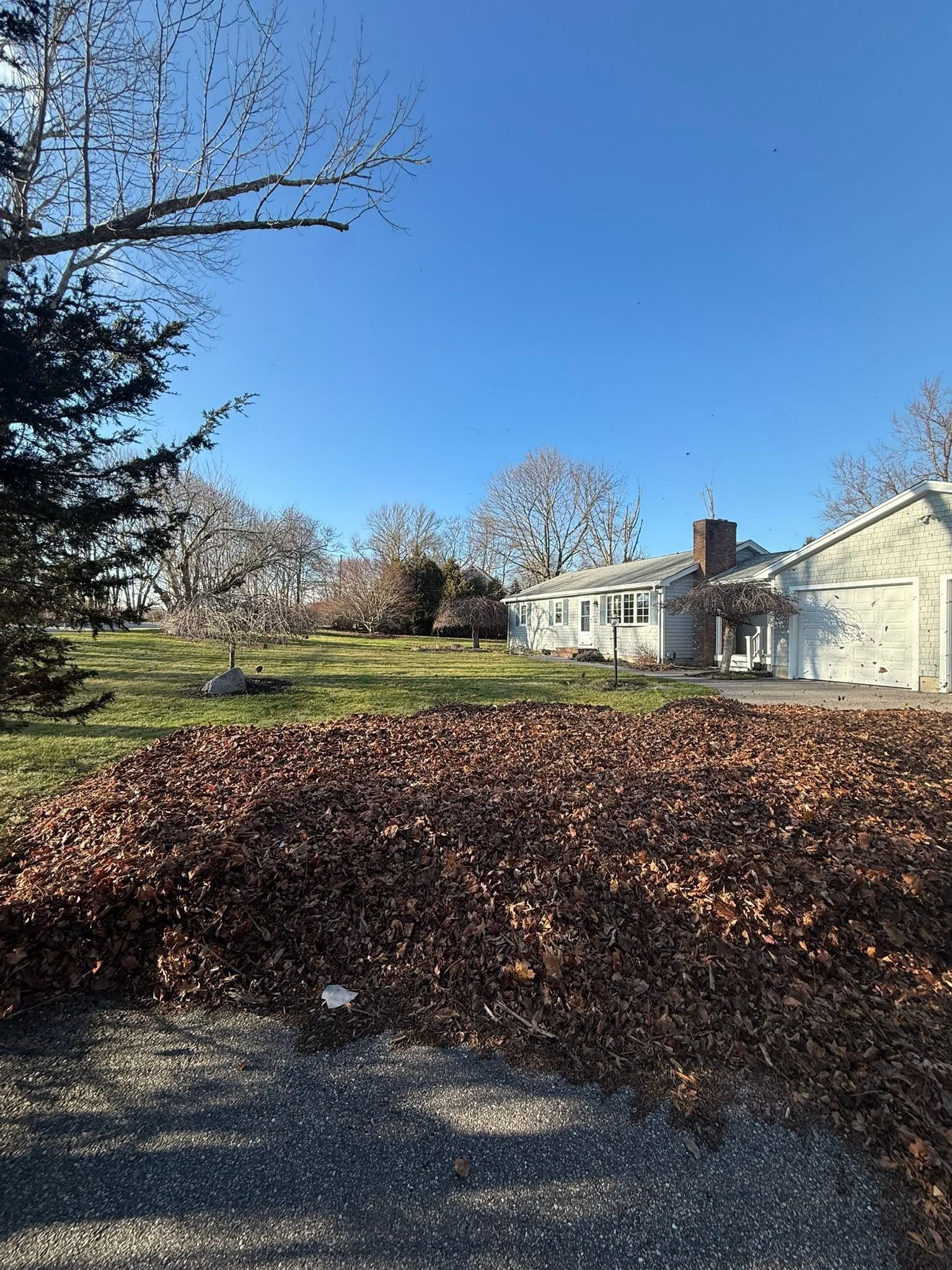 Leaf-covered yard beside a white house under a clear blue sky, with bare trees and a gravel drive