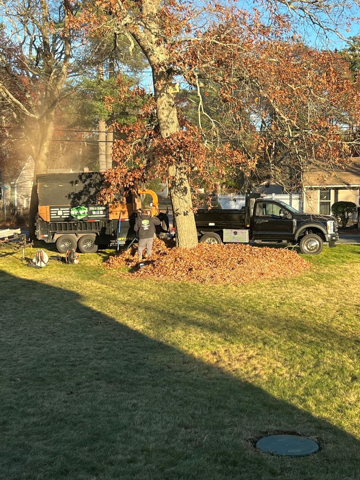 Black pickup trucks under trees in a sunny yard, with smoke or dust near a building.