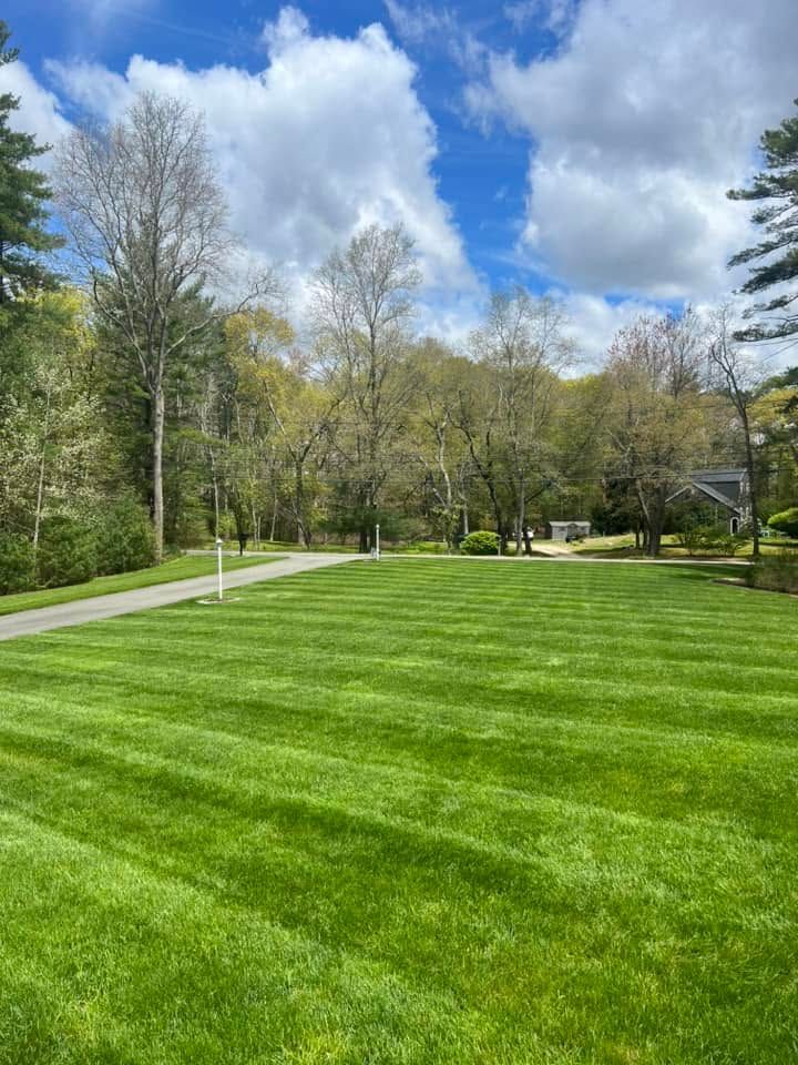 Green lawn with a paved path, tall trees, and a partly cloudy blue sky.