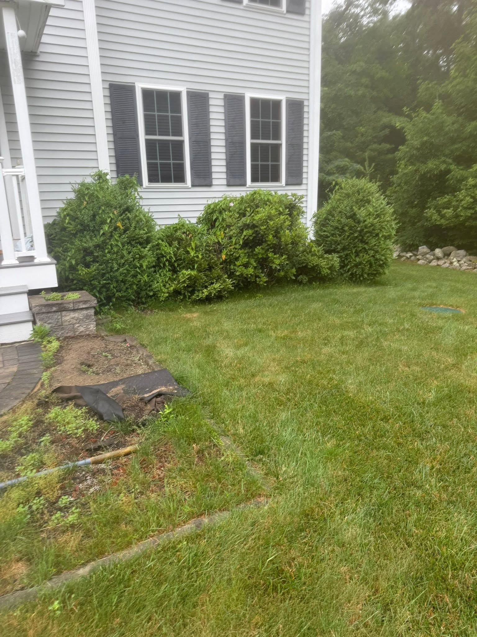 Side of a gray house with black shutters, green lawn, shrubs, and a small stone step near the walkway.