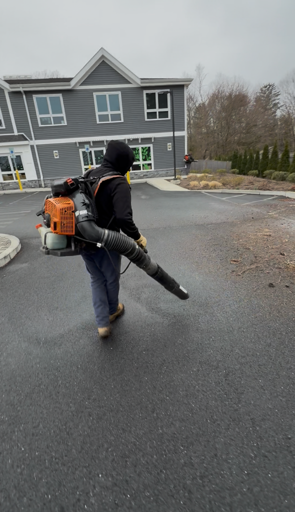 Person using a leaf blower to clear dry leaves on a grassy lawn