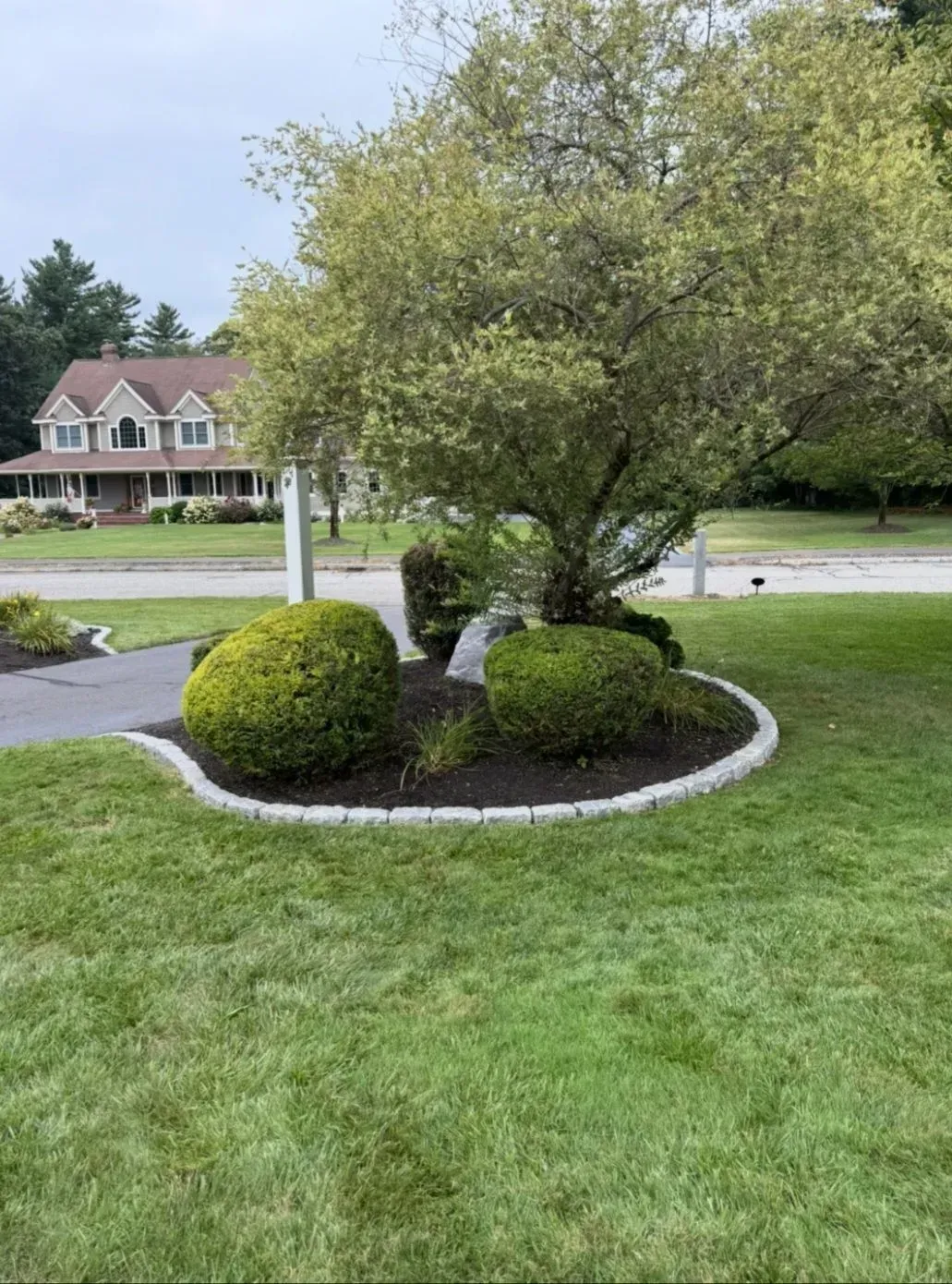 Landscaped front yard with trimmed shrubs and a tree on a grassy lawn near a suburban house