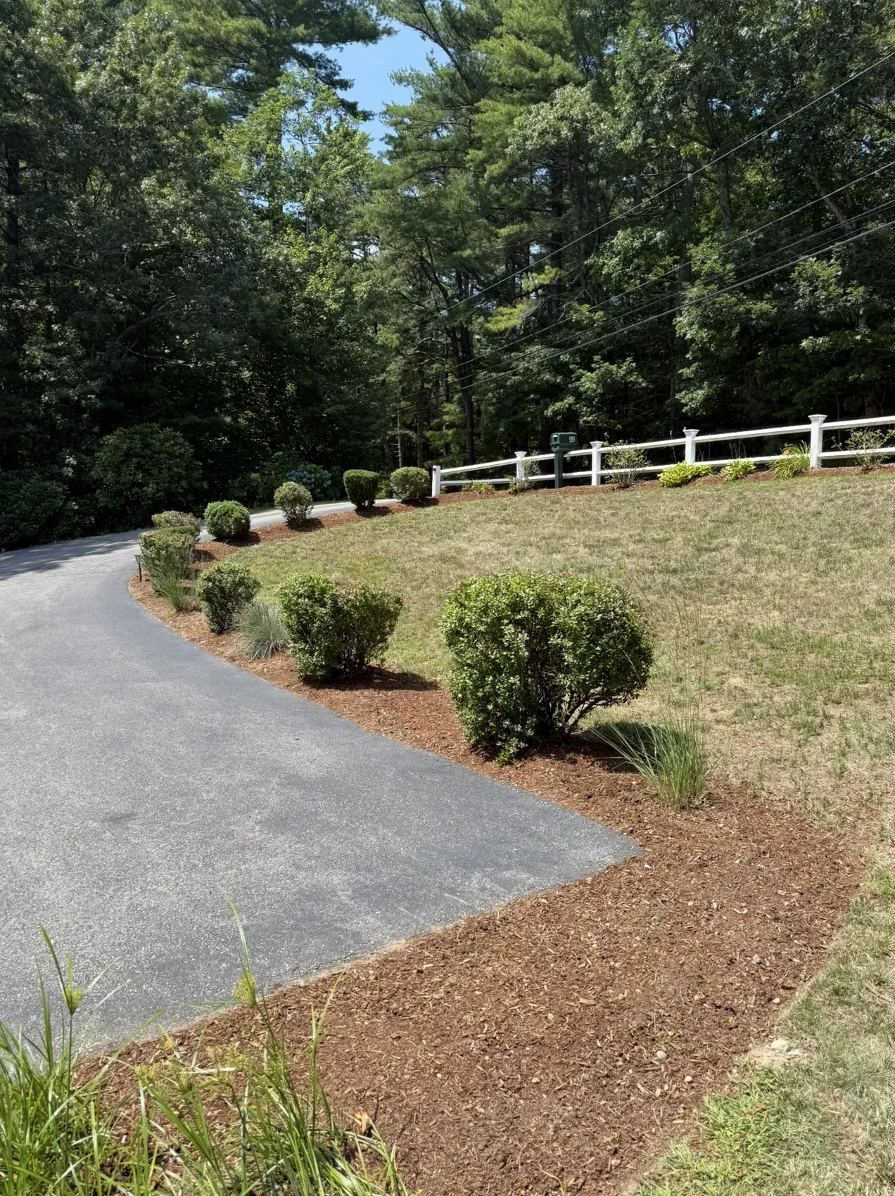 Curving asphalt driveway beside trimmed shrubs and a white fence on a grassy wooded hillside
