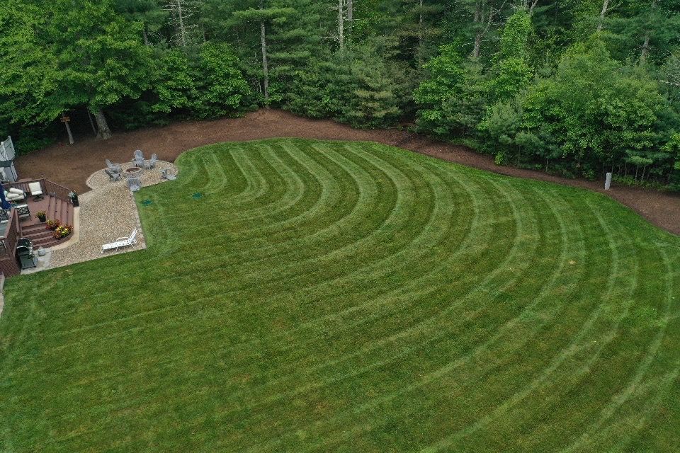 Curved mowed lawn beside a wooded patio area with stone steps and seating.