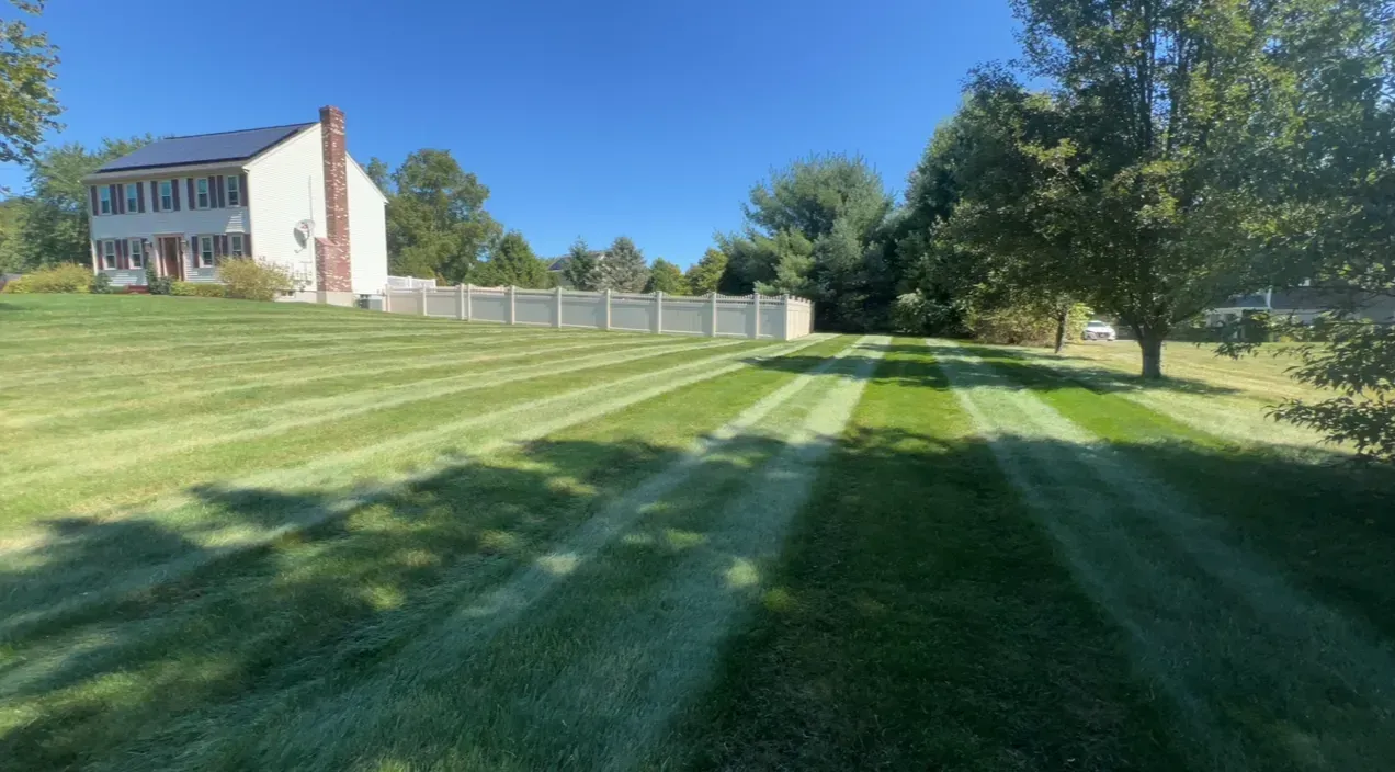 Sunlit grassy yard with striped mowing lines, trees, a fence, and a house under a blue sky