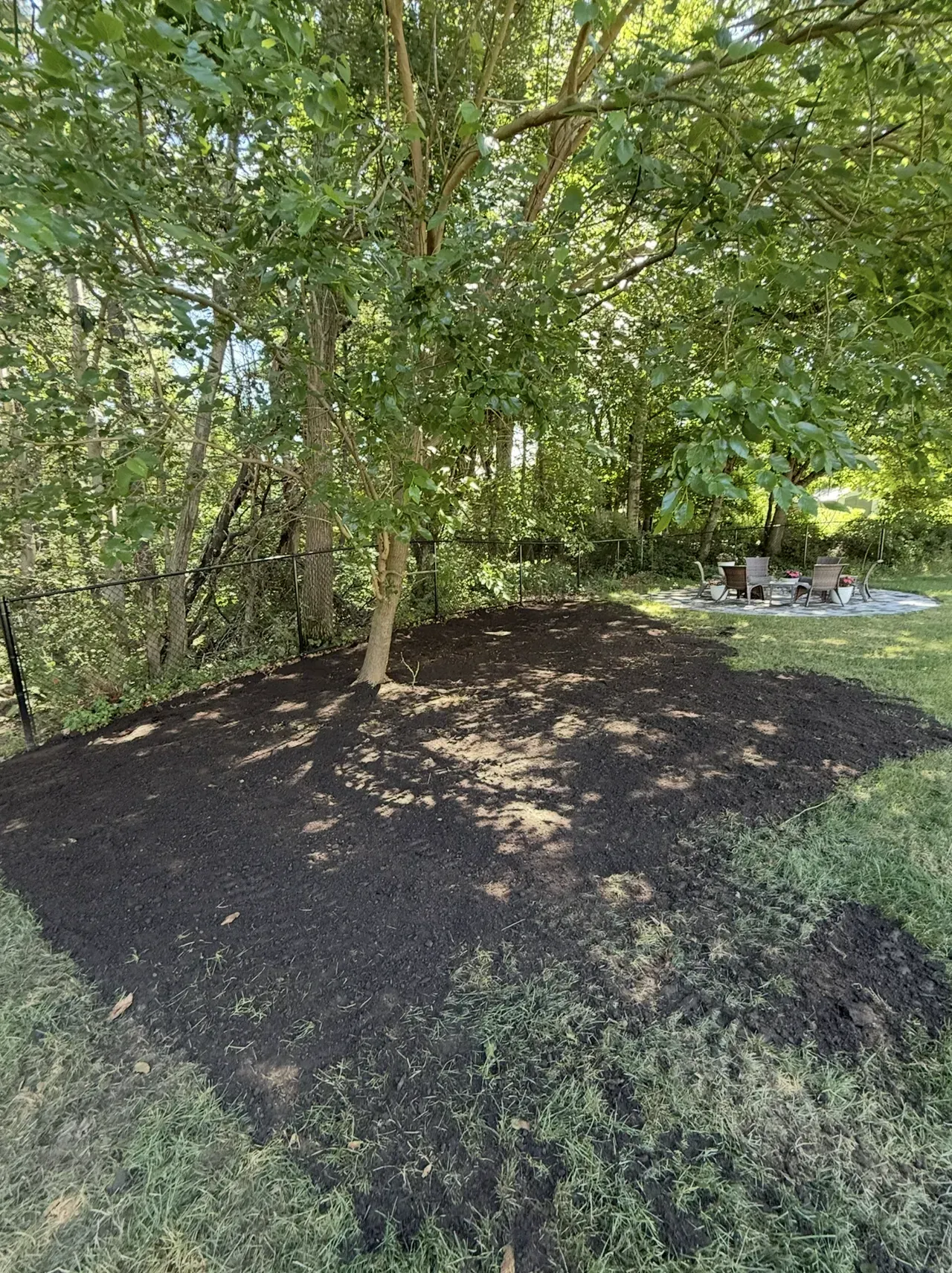 Shaded garden bed with dark mulch beneath leafy trees and a small grassy edge