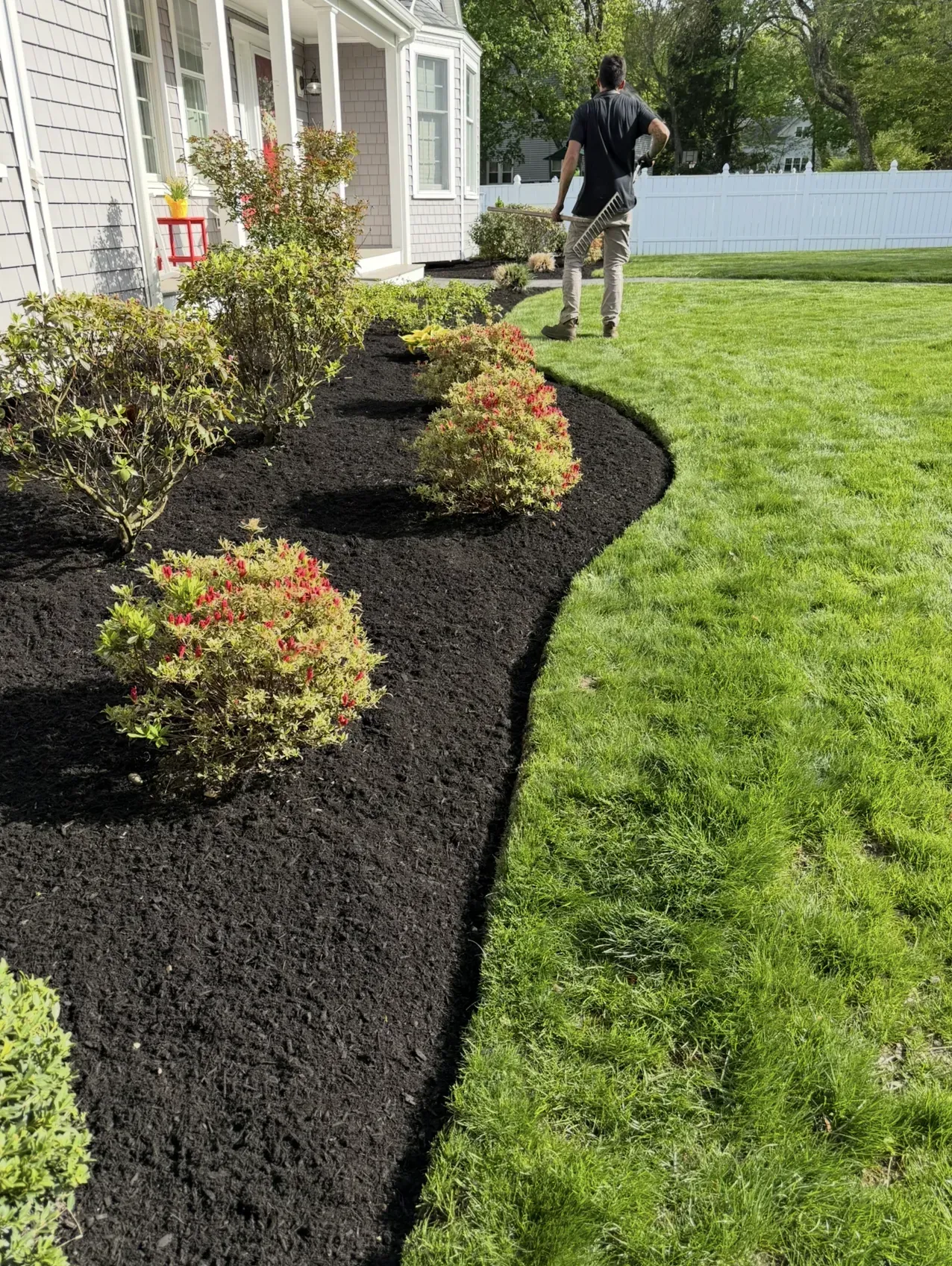 Landscaped garden bed with black mulch, shrubs, and a person standing by a house and lawn