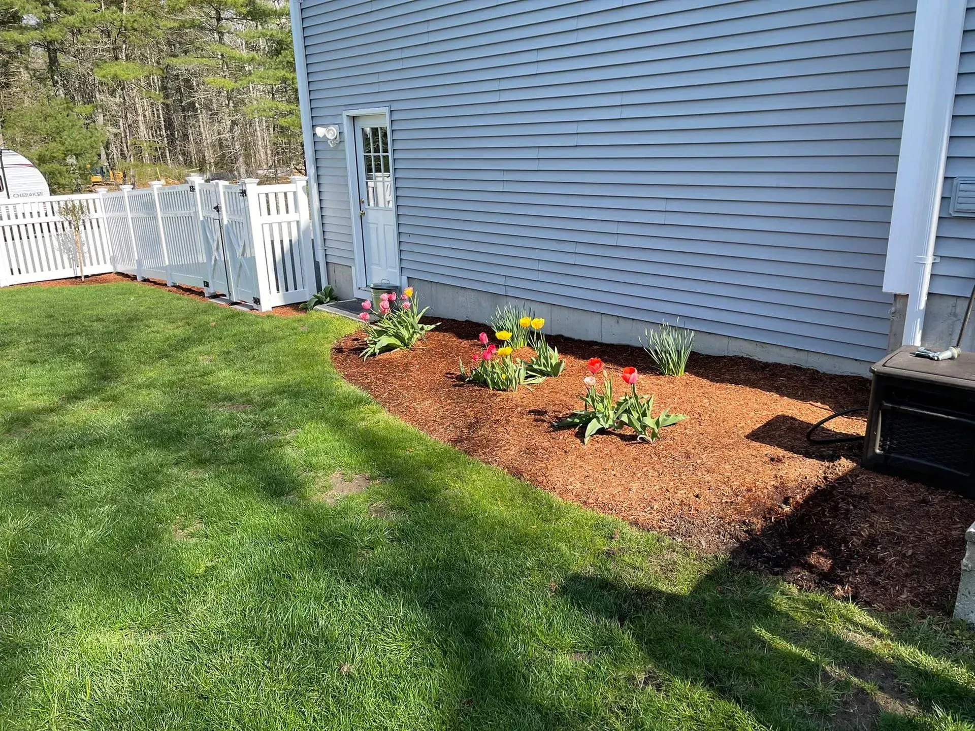 Mulched flower bed with small plants beside a blue house and green lawn