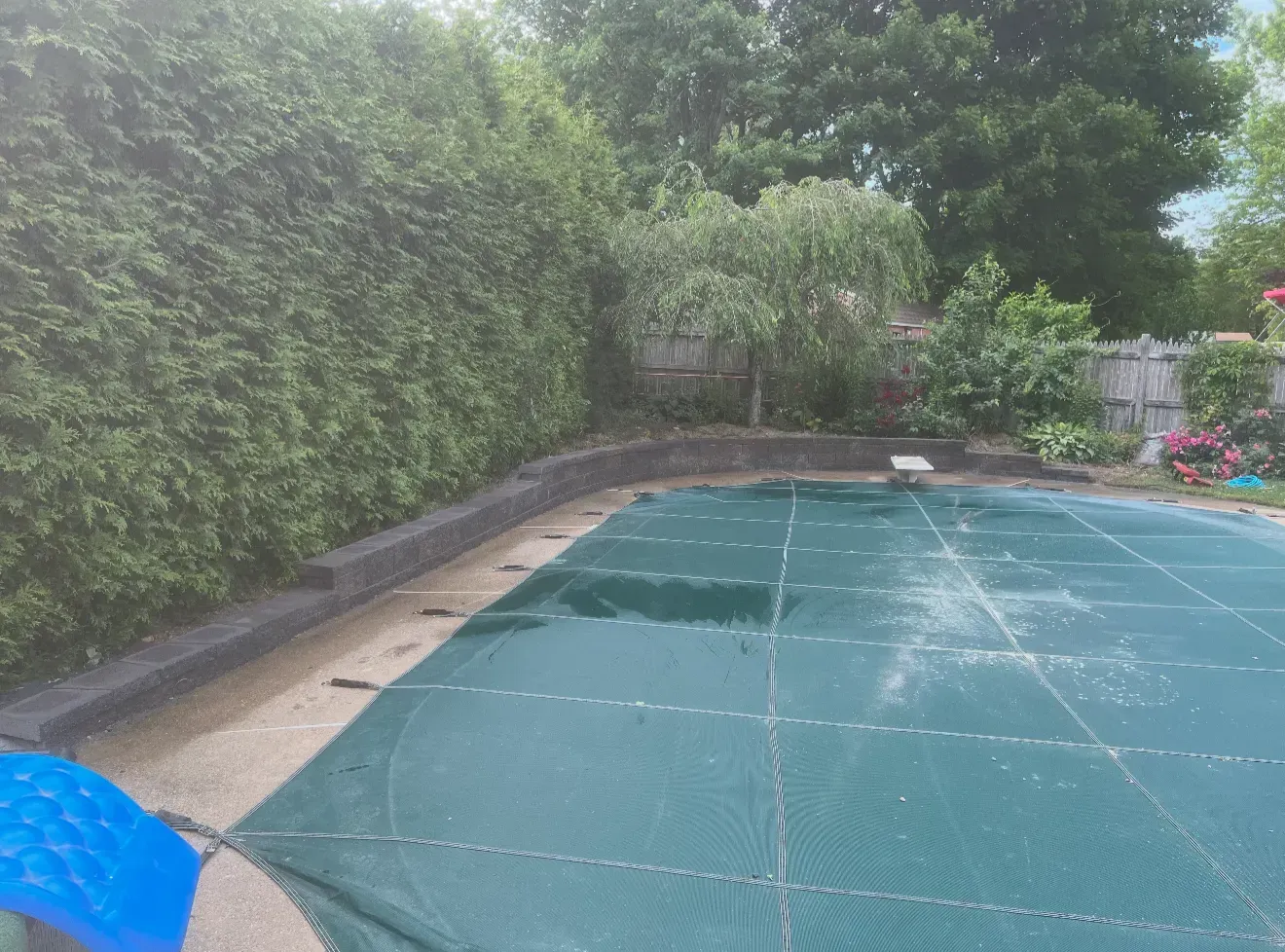 Covered backyard pool with a green safety cover, surrounded by hedges and plants.