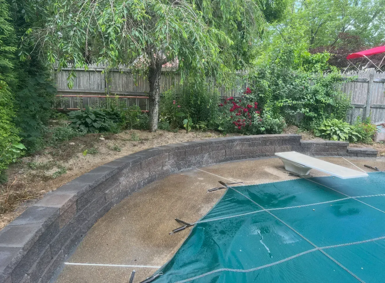 Backyard pool with curved stone seating edge, blue water, and lush greenery behind a fence