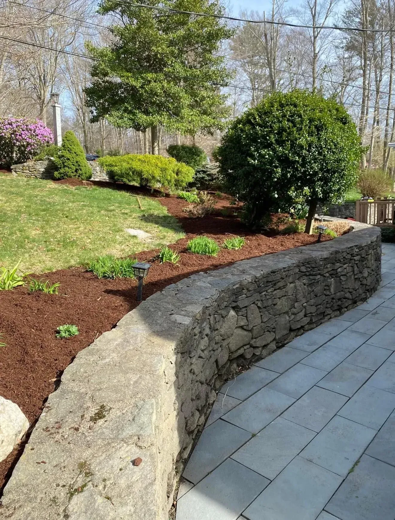 Landscaped garden with stone retaining wall, shrubs, and paved patio path under trees