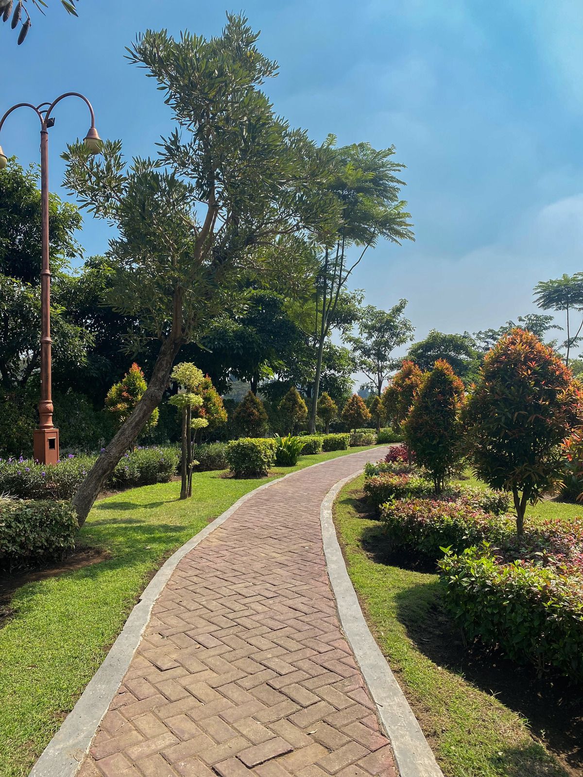 Curved brick path through a sunny landscaped park with trimmed shrubs, trees, and a lamp post