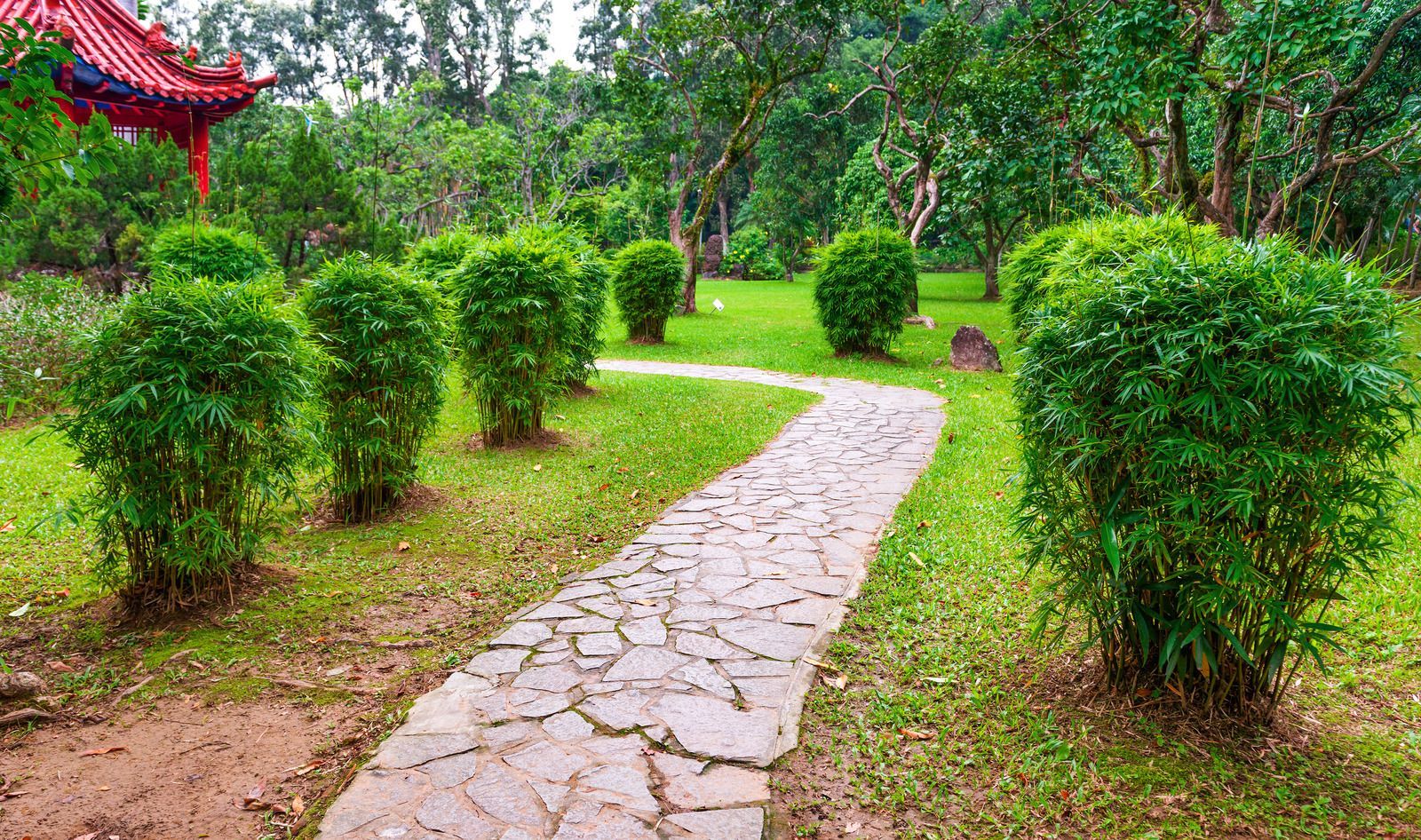 Stone path winding through a lush garden with trimmed green bushes and trees