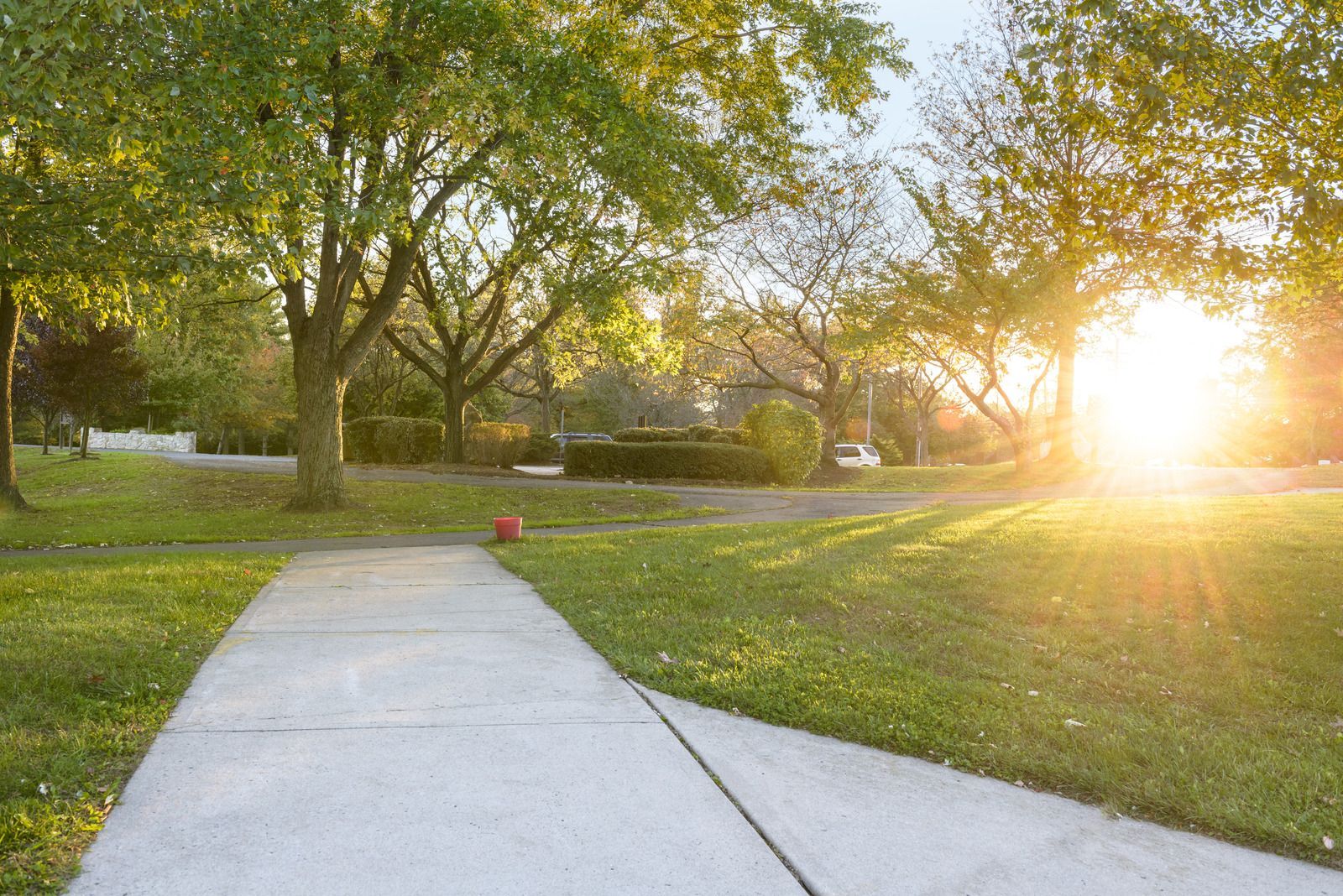 Sunlit park walkway beside green lawn and trees at sunset