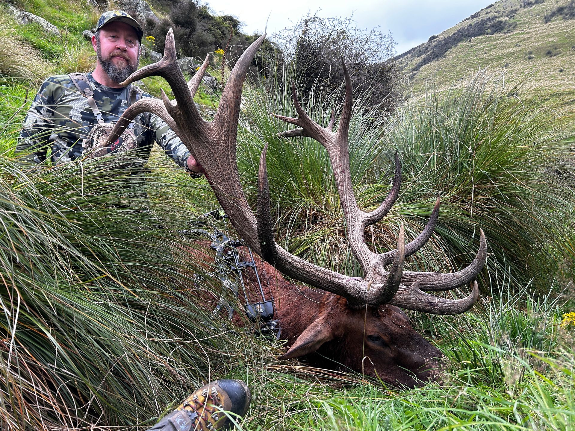 Hunter with a large elk, its antlers prominent, in a grassy, mountainous area. The hunter wears camouflage and smiles.