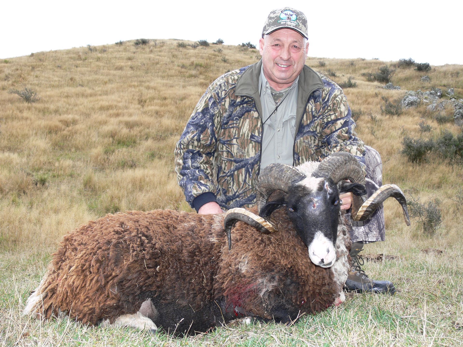 A man in camouflage poses with a large, brown and black ram in a grassy field. The ram has large curved horns.