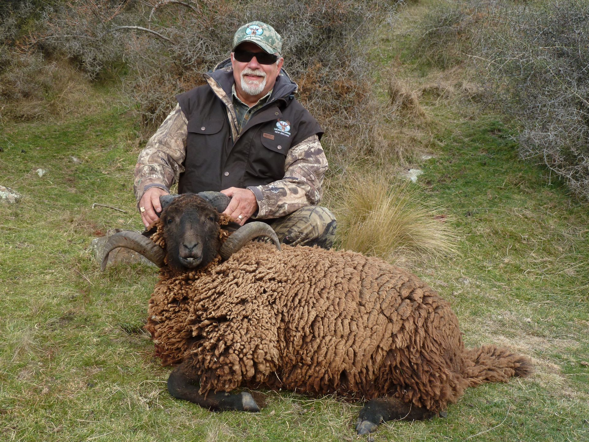 Man in camo vest kneels beside a large, dark-furred ram with impressive curled horns. They are outdoors in a grassy area.
