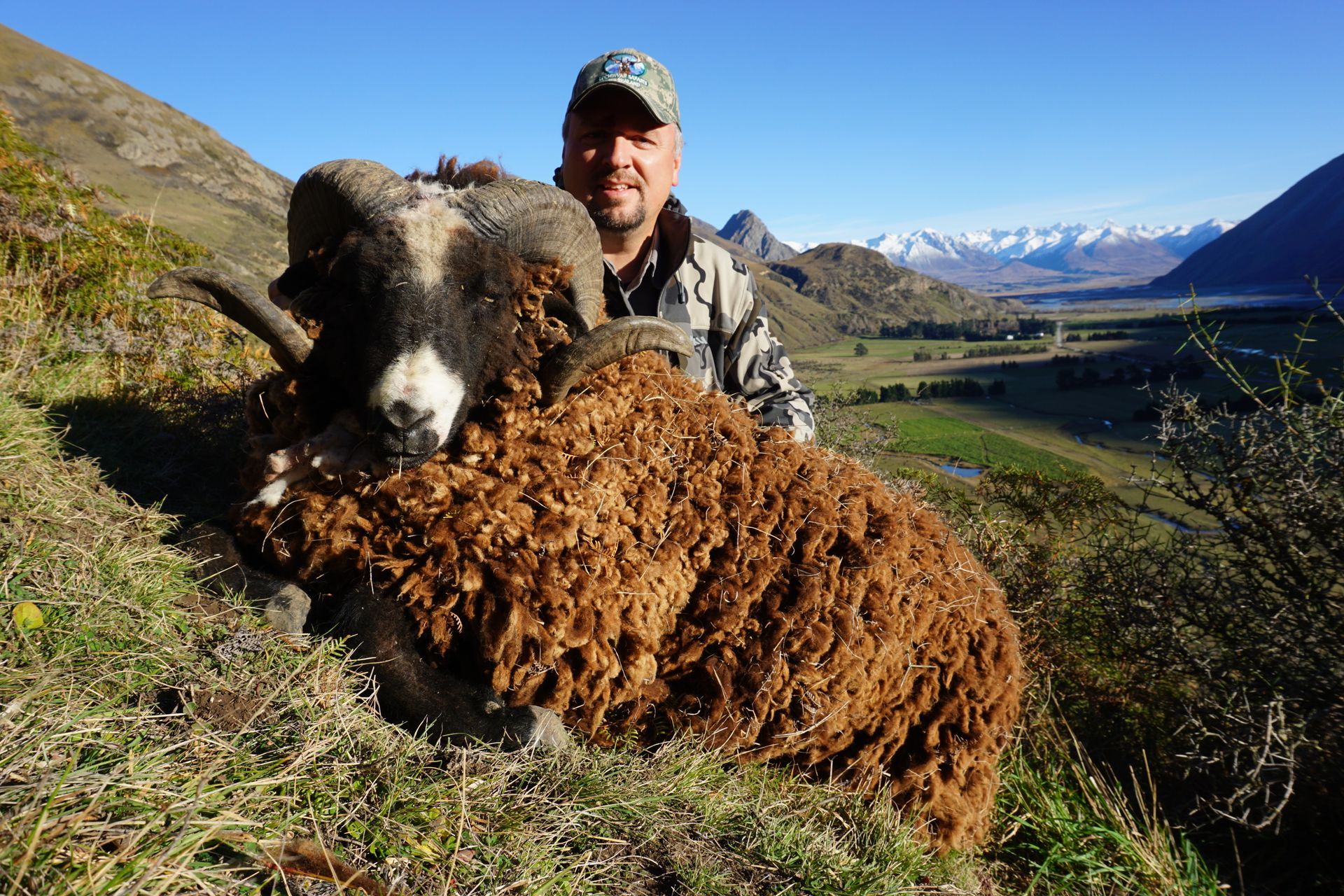 Hunter in camouflage holds a large ram with brown wool and curled horns against a mountainous, sunny landscape.