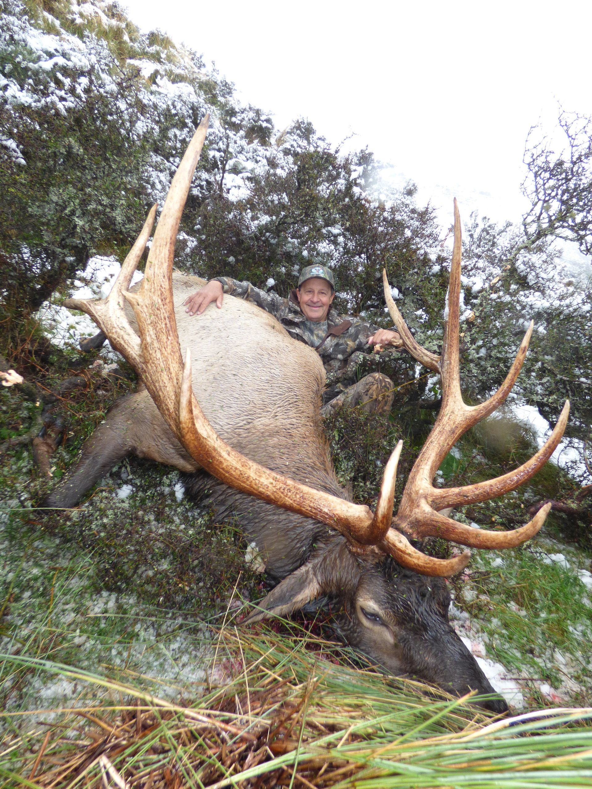 A hunter smiles beside a large elk with massive antlers, lying in the grass with a few snow flurries in a wooded setting.