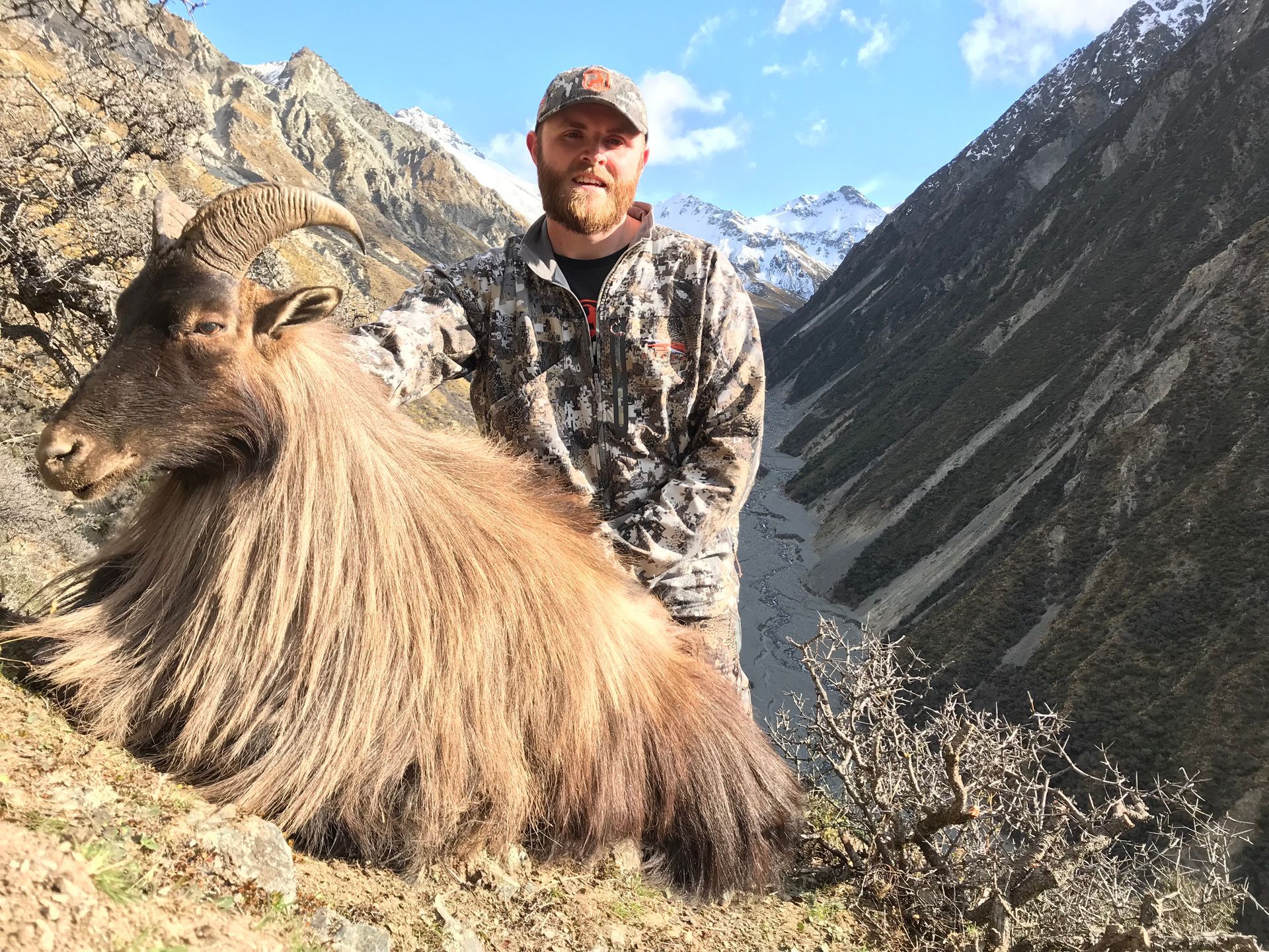 Man in camouflage standing next to a Himalayan tahr in a mountain valley. Snow-capped peaks in the background.