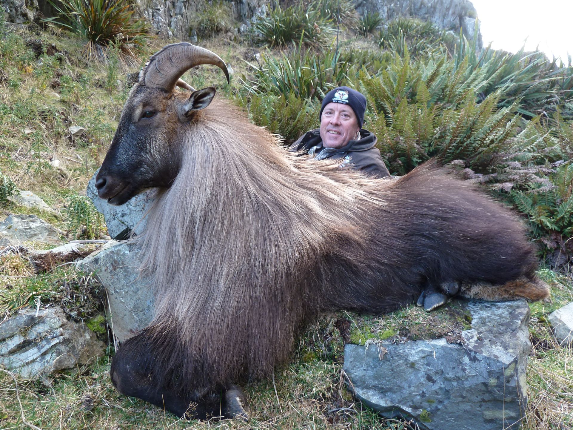A man smiles next to a large Himalayan tahr he has shot. The tahr is dark brown with a long, shaggy mane.
