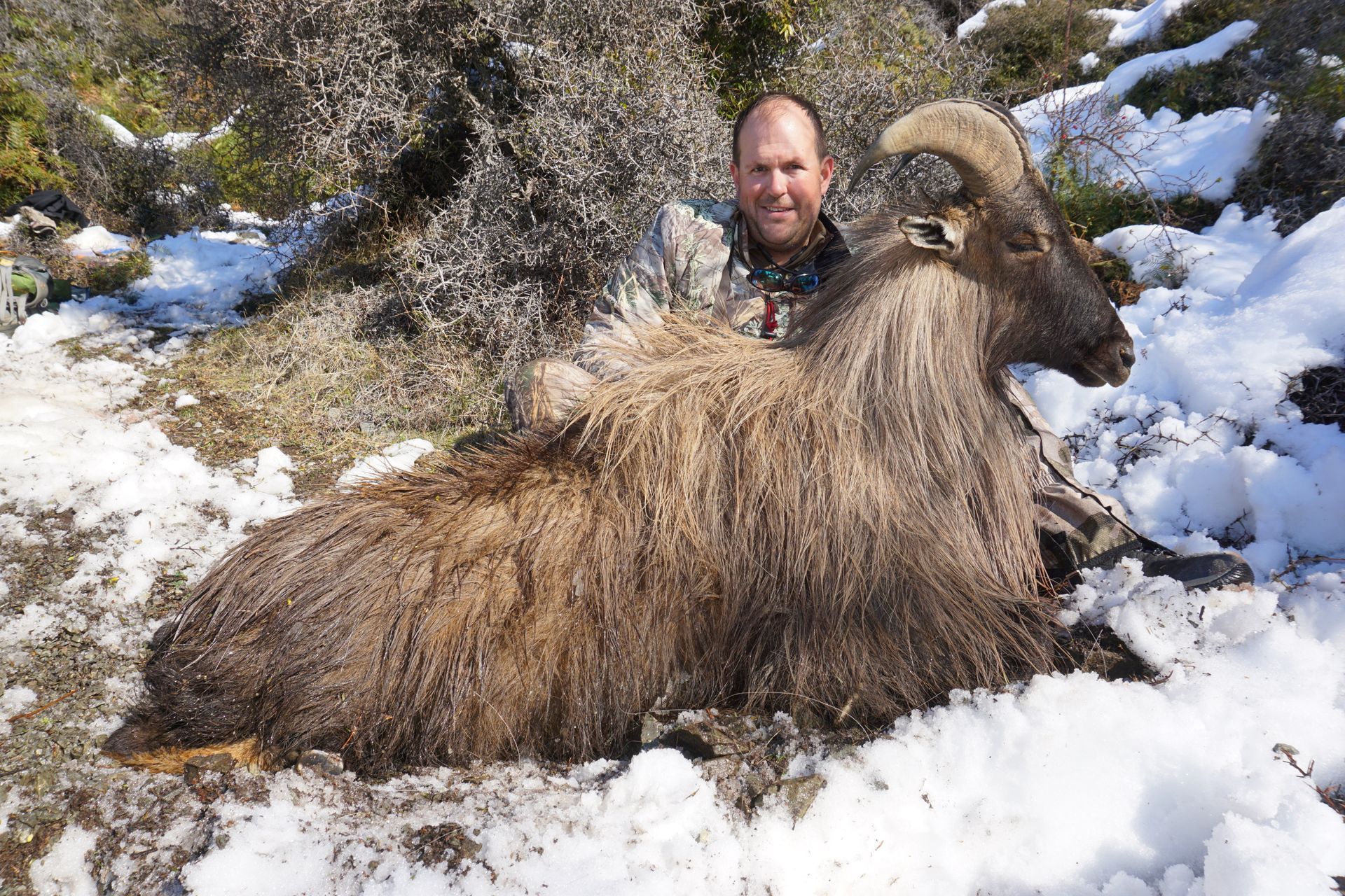 Man smiles, poses with Himalayan tahr he hunted in a snowy, mountainous landscape. The tahr has large curved horns and shaggy, brown fur.