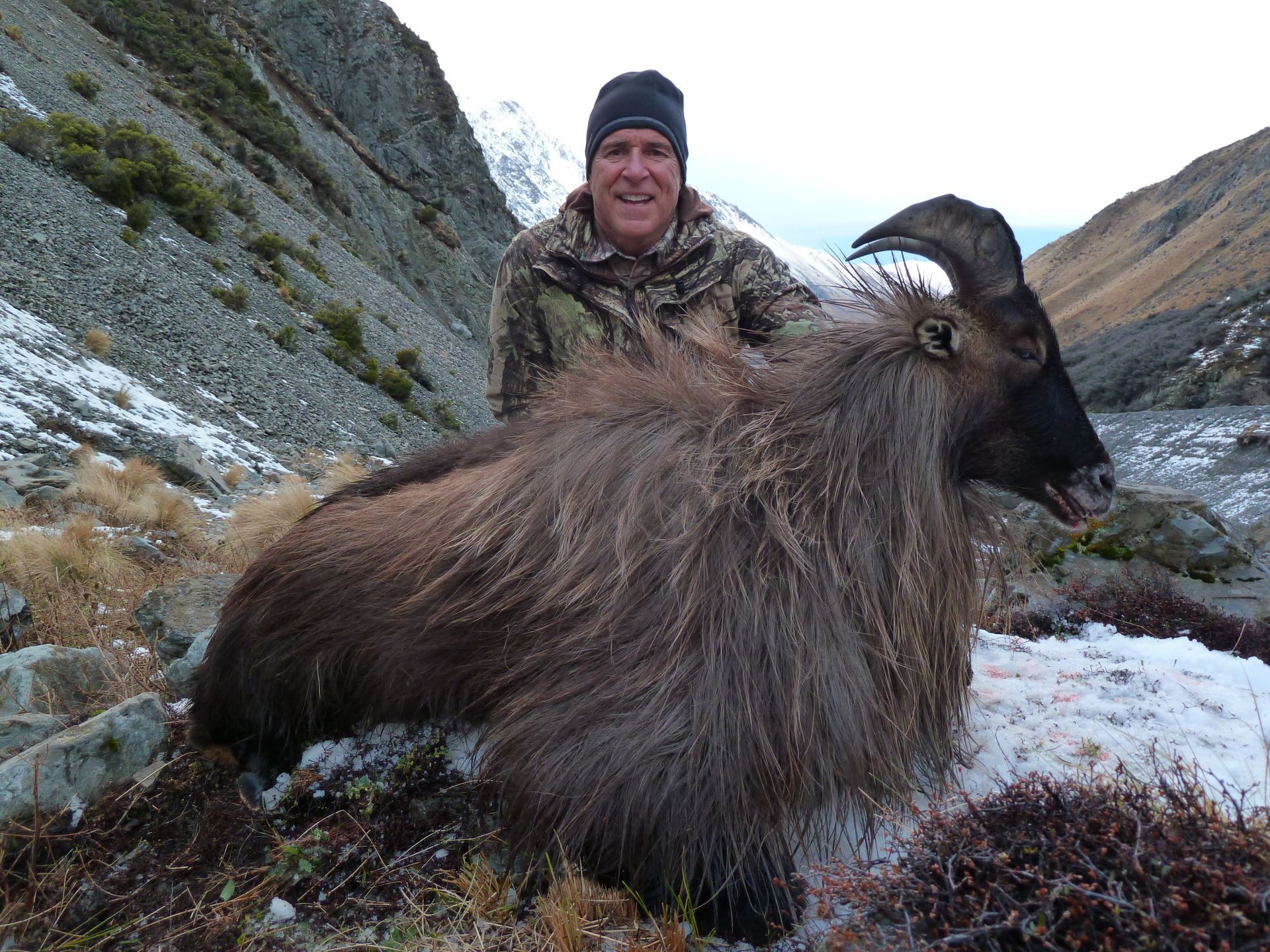 Man in camouflage with a dead Himalayan Tahr in a snowy mountain landscape. The animal has large horns and long, shaggy fur.
