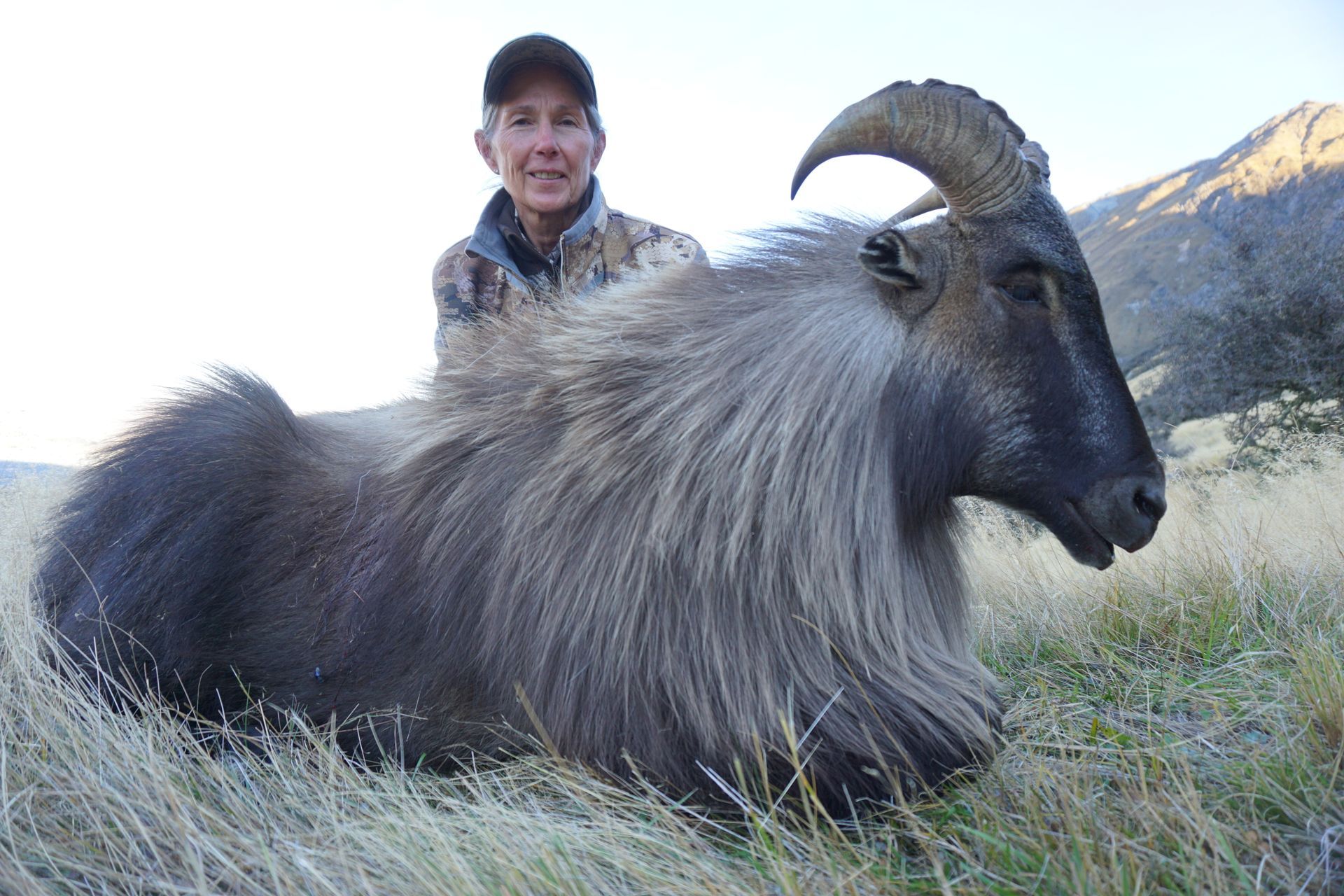 Hunter posing with a large, gray Himalayan tahr in grassy terrain, wearing camouflage and a hat.