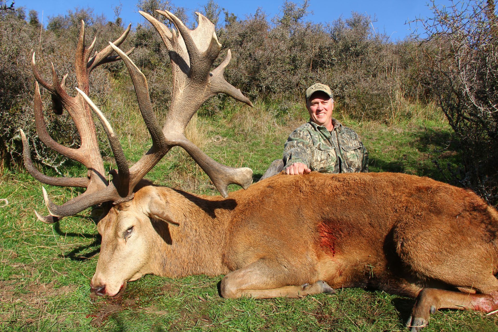 Man in camouflage kneeling next to a large, dead red deer with impressive antlers on grassy ground.