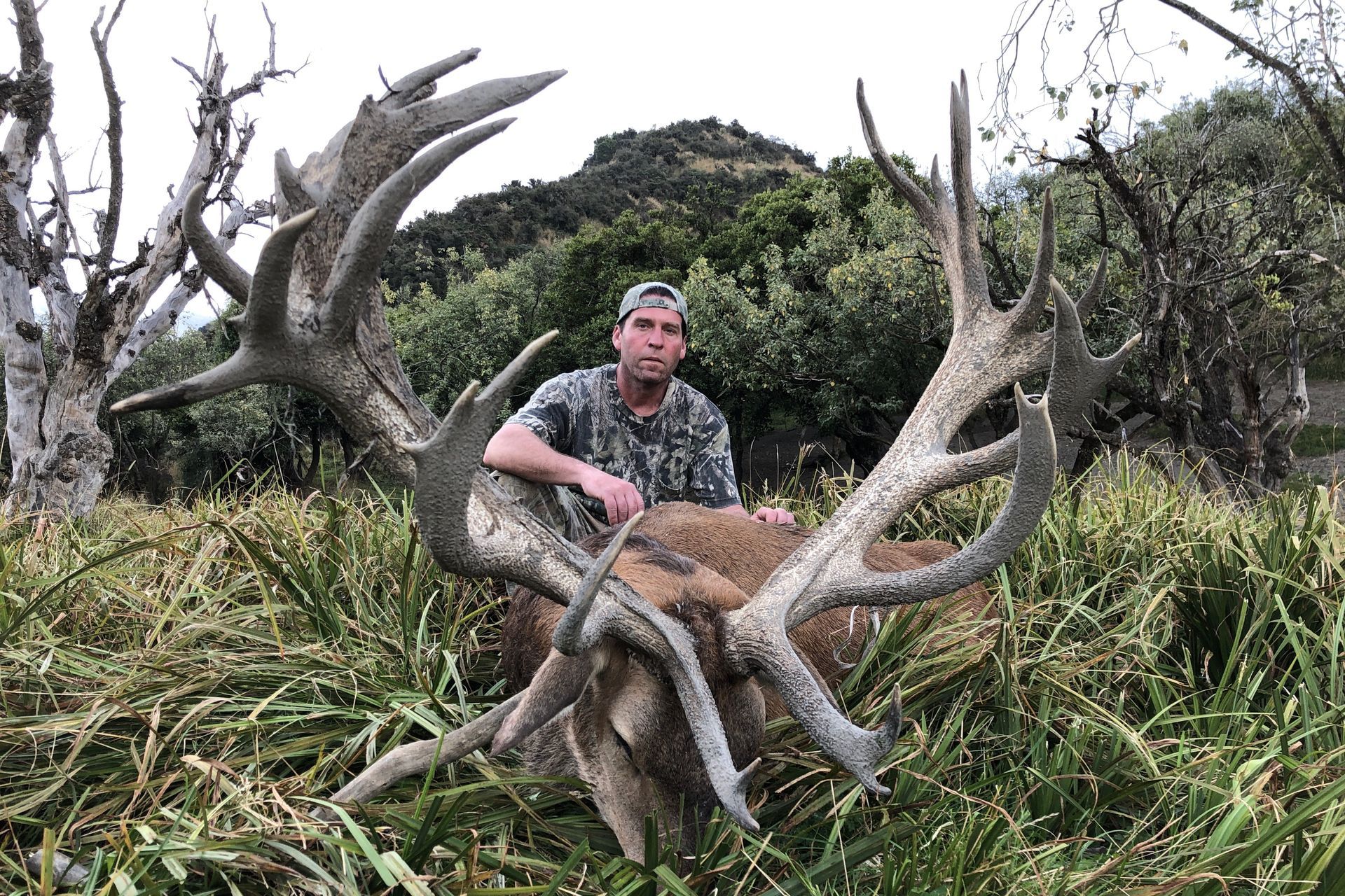 A man kneels next to a large deer with impressive antlers, posing in a grassy area with trees in the background.