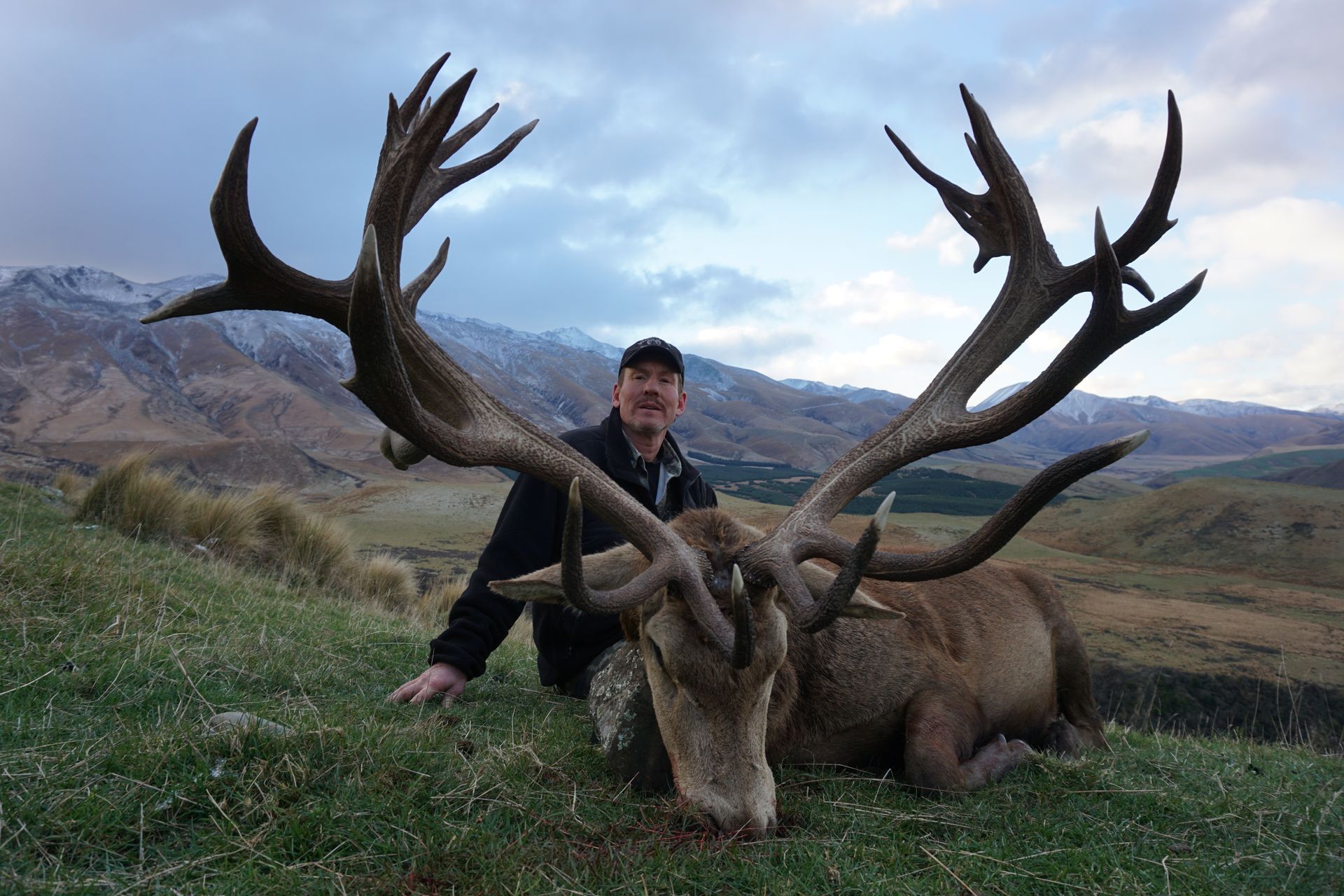 Man kneels beside a large red deer with impressive antlers on a grassy hillside with mountains in the background.