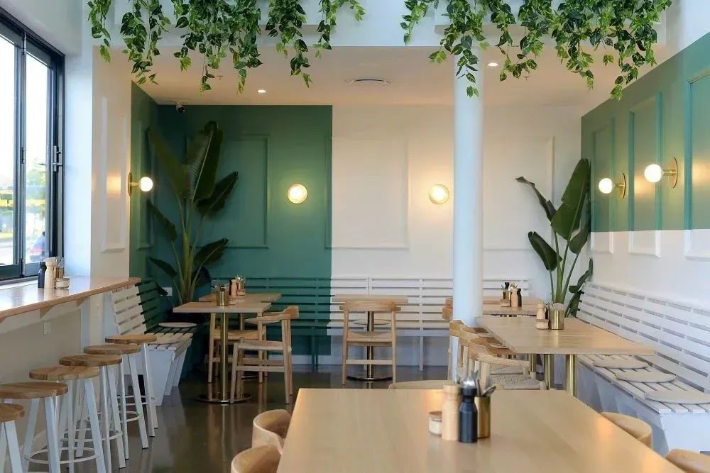 A restaurant with tables and chairs and plants hanging from the ceiling.