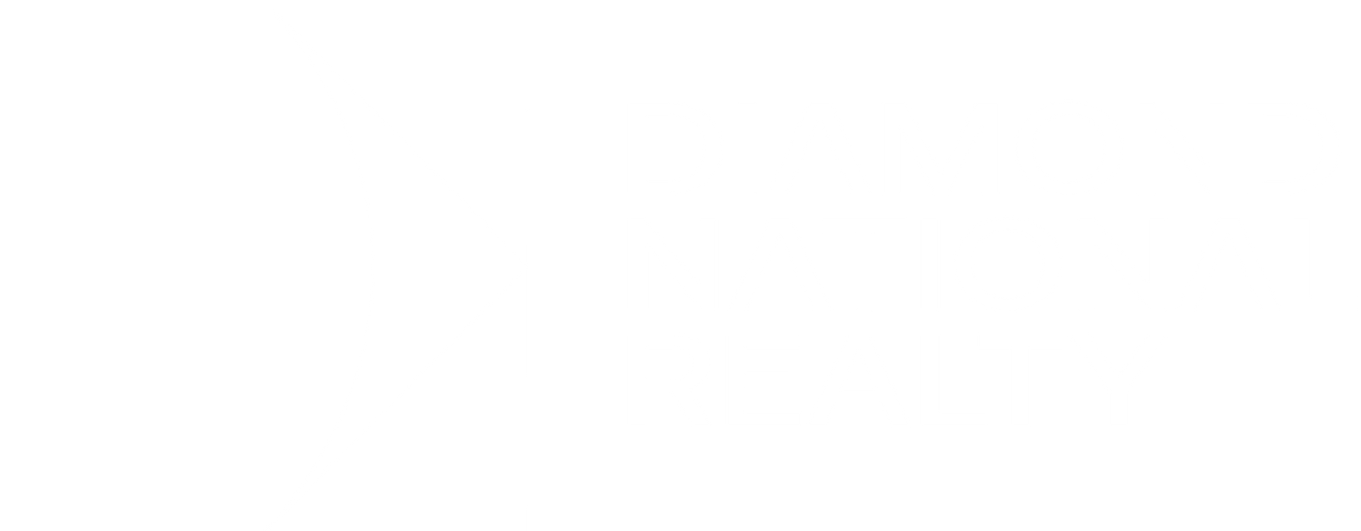 Diamond National Realty Logo - Footer