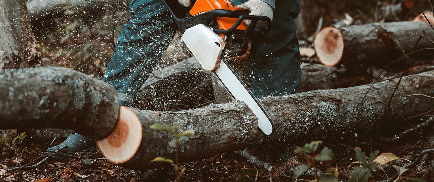A person using an orange chainsaw to cut through a tree trunk. Sawdust flies through the air.